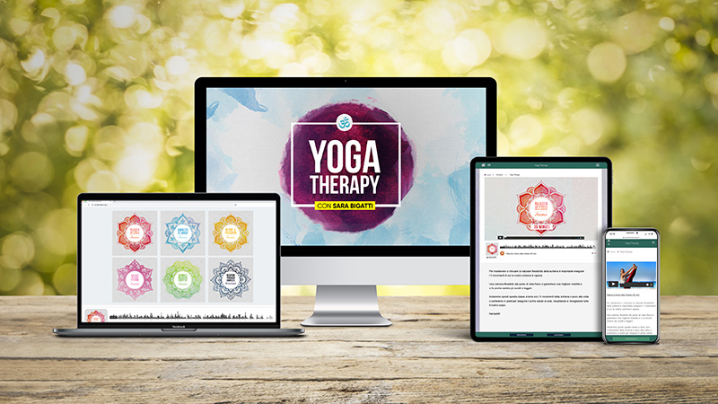 Big Product Yoga Therapy