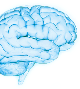 techniche brain