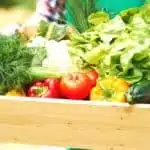 Risvegliare il metabolismo