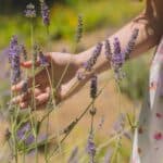 proprietà-della-lavanda