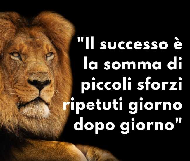 Frasi di motivazione Parole per una giornata piena di energia