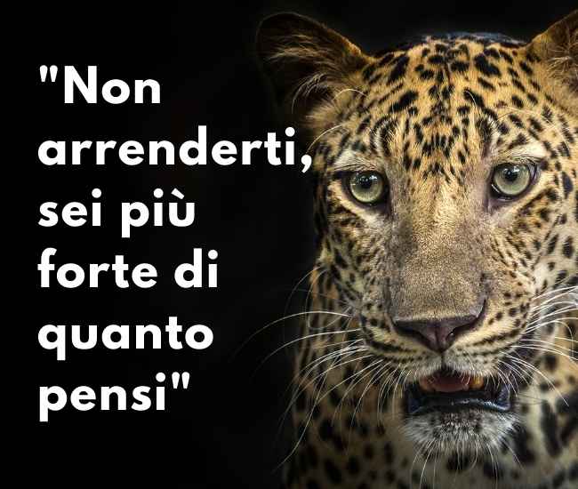 Frasi di motivazione per lo studio quando le parole ti fanno superare un esame!