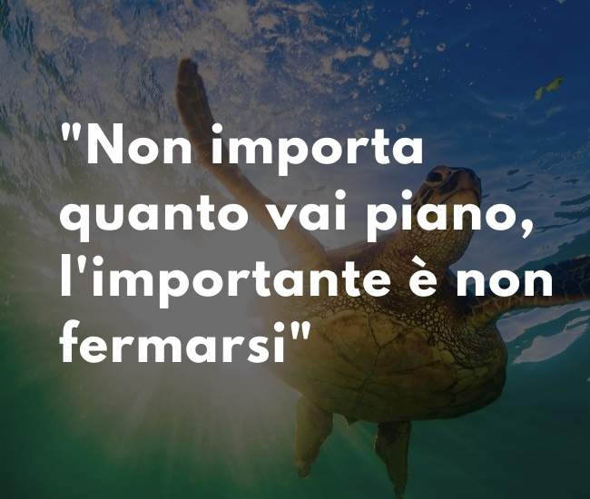 Aforismi Motivazionali di Mercoledì 2 Ottobre 2024 Perché Ogni Mercoledì è un Nuovo Inizio