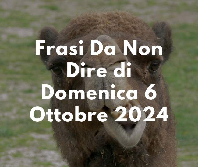 Frasi Da Non Dire di Domenica 6 Ottobre 2024