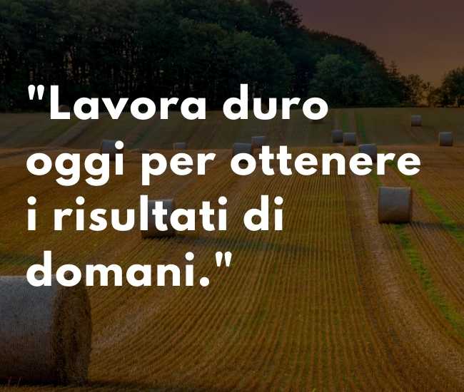 Lavora duro oggi per ottenere i risultati di domani.