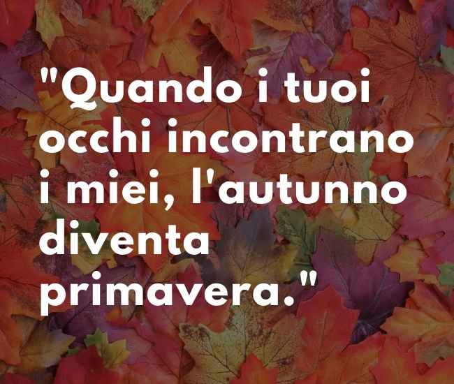 Quando i tuoi occhi incontrano i miei, l'autunno diventa primavera