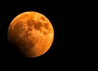Fase lunare: sfrutta il potere della luna piena per realizzare i tuoi desideri