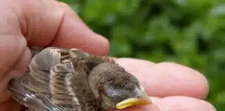 12 Modi in Cui Ti Stai Rovinando la Vita Senza Saperlo [E Come Rimediare Subito]