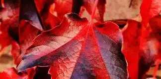 Lascia Andare Il Bisogno Di Resistere Al Cambiamento Lascia Andare Il Bisogno Di Resistere Al Cambiamento