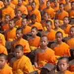 Imparare a Meditare Come un Fiore che Si Apre in Primavera