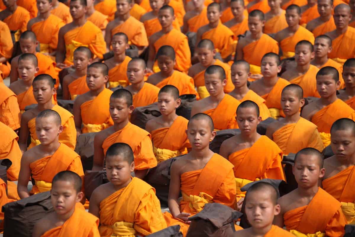 Imparare a Meditare Come un Fiore che Si Apre in Primavera