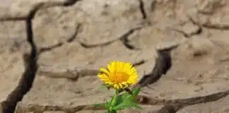 3 Piccoli Cambiamenti per Dare una Svolta Alla Tua Vita