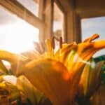 4 Modi per Superare la Paura e Abbracciare la Vita