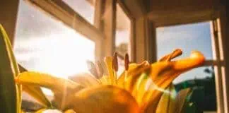 4 Modi per Superare la Paura e Abbracciare la Vita