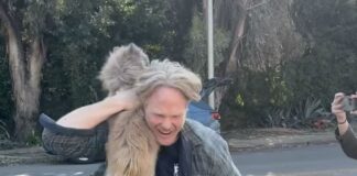 La storia di un uomo che ha superato un incendio devastante per ritrovare il suo amato cane