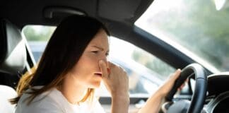Cattivi odori in auto? 5 deodoranti naturali