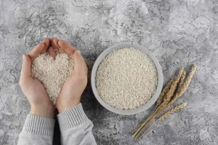 Cosa succede al tuo corpo mangiando riso scaduto? Segnali da non ignorare